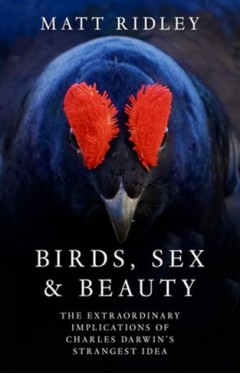 Birds Sex and Beauty